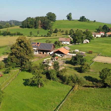 شقة Carlo Wangen im Allgäu المظهر الخارجي الصورة