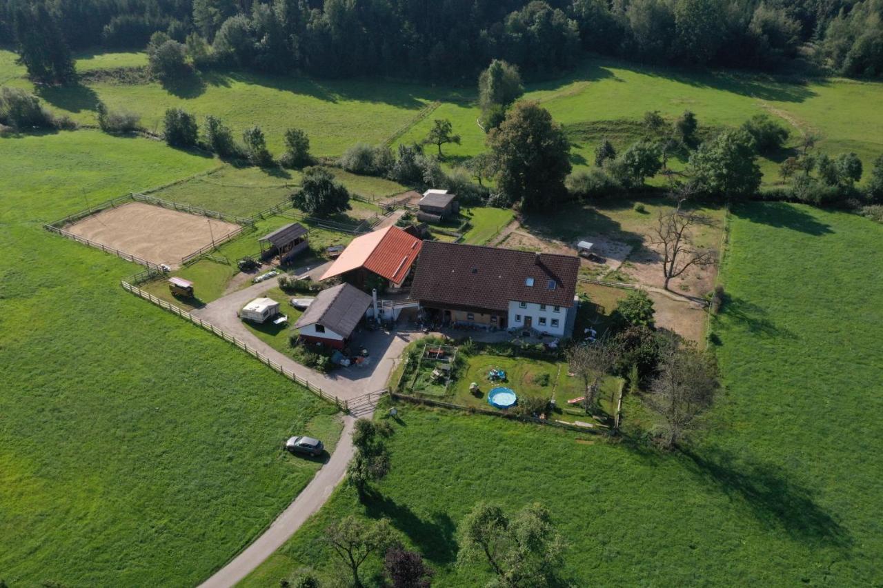 شقة Carlo Wangen im Allgäu المظهر الخارجي الصورة