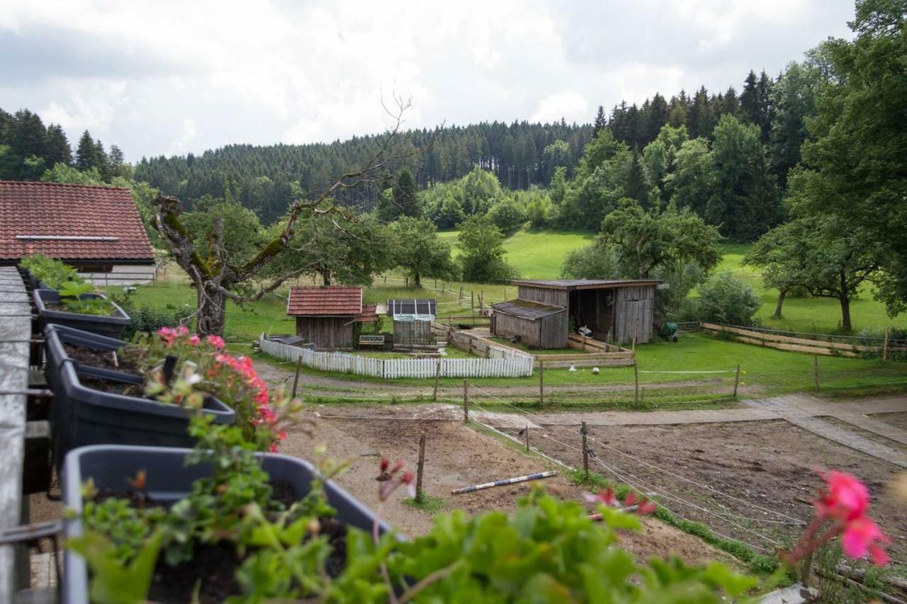 شقة Carlo Wangen im Allgäu المظهر الخارجي الصورة