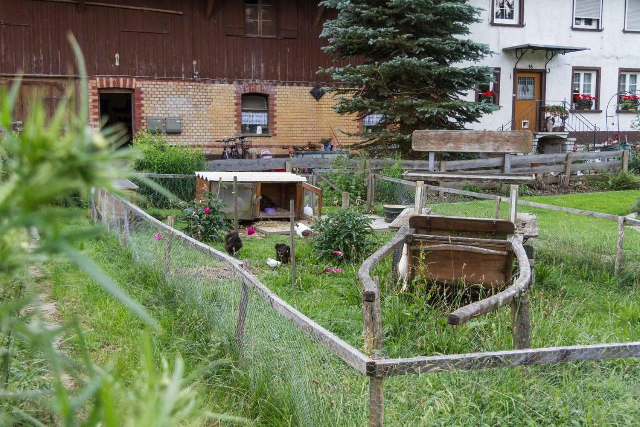 شقة Carlo Wangen im Allgäu المظهر الخارجي الصورة