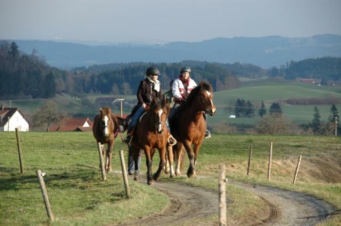 شقة Carlo Wangen im Allgäu المظهر الخارجي الصورة